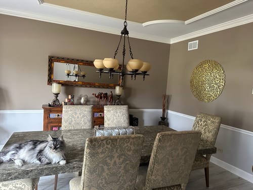 Ayatul Kursi Calligraphy Full Circular - Acrylic Islamic Wall Art